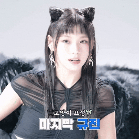 Cat GIF