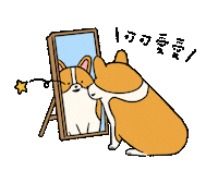 Eatmushroom dog illustration life corgi Sticker