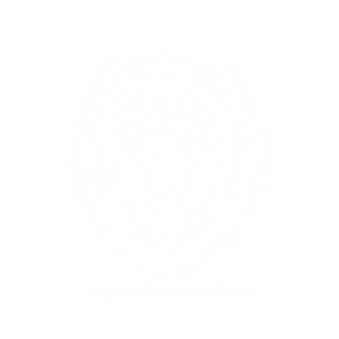 mktqualiser giphyupload branco contabilidade leao Sticker