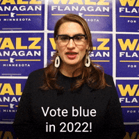 Vote blue in 2022!