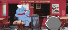 Cat Dog GIF by PETHROOM