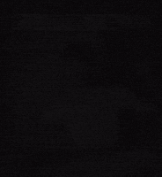 Fake News GIF
