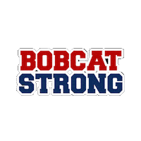 byramhillsbobcats go bobcats gobobcats byram hills byram hills bobcats Sticker