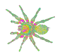 Art Rainbow Sticker by daisy maize