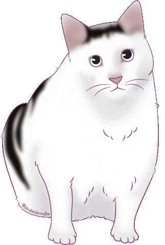 Confused Fat Cat Sticker
