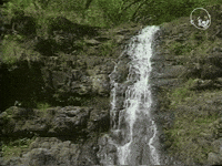 Don Slepian Audio Visual Experiments