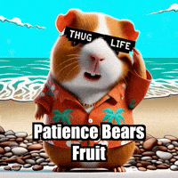 Wisdom Patience GIF by Guinea Gambino