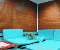 Summer Someone GIF