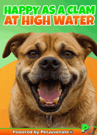 PetJuvenate petjuvenate henlo hooman fren love rescue dogs treatos and woofer for pupper GIF