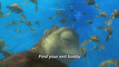 finding nemo GIF