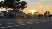 Driving Slow Motion GIF by Yevbel