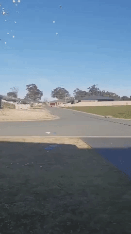 Boy vs Bird: Aussie Kid Fearlessly Bikes Through Swooping Magpie Attack