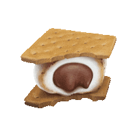 Graham Cracker Chocolate Sticker by Stuffed Puffs