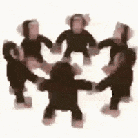 Monkey Ape GIF