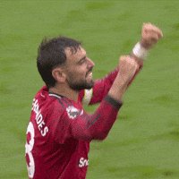 Come On Yes GIF by Manchester United