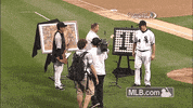 cws GIF by MLB