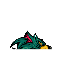 Australian Football League Afl Sticker by tasmaniafc
