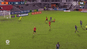 brisbaneroar football australia stop block GIF