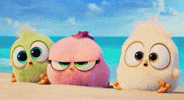 GIF by Angry Birds Movie