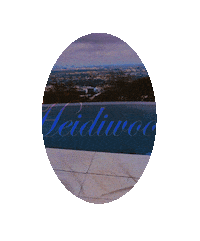 Pop Star Icon Sticker by Spencer Pratt