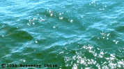 Water Missing GIF