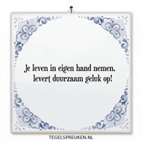 Humor Nl GIF by Tegelspreuken.nl