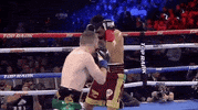top rank punches GIF by Top Rank Boxing