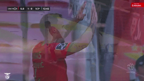 Sl Benfica Hug GIF by Sport Lisboa e Benfica