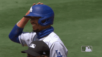 Regular Season Sport GIF by MLB