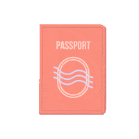 chasingcarpediem travel holiday vacation airplane Sticker