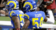 Los Angeles Rams Football GIF by NFL