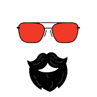 Sun Sunglasses Sticker by Polaroid Eyewear