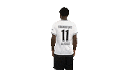 Turn Sge Sticker by Eintracht Frankfurt