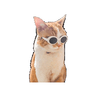 Cocosaru Sticker