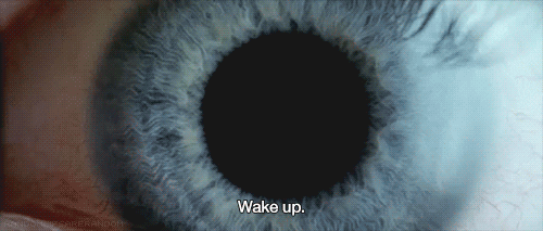 Movie gif. Scene from Donnie Darko. Close up on a blue eye ball. The pupil widens and vibrates as an image of Donnie Darko appears in the darkness of the pupil.