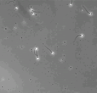 microbiology GIF