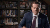 anthony scaramucci no GIF