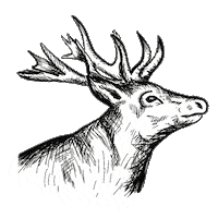 Schnauze-und-company wurst hirsch fleisch schnauze und company Sticker