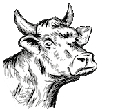 Schnauze-und-company wurst fleisch kuhn muh Sticker