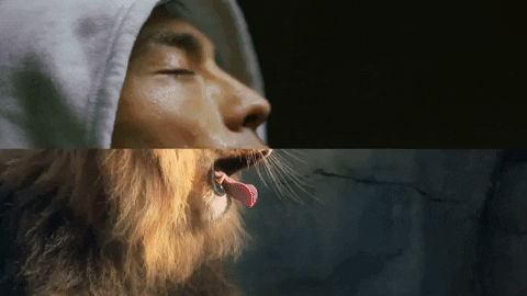 cat power yawn GIF by CASSIUS