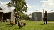 under the dome community GIF