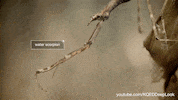 GIF by KQEDScience