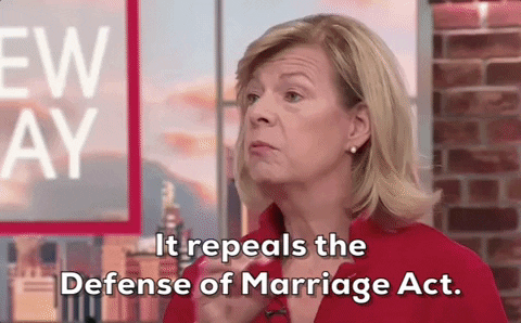 Marriage Equality Doma GIF by GIPHY News