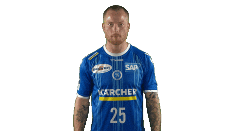 Handball-Bundesliga Love Sticker by LIQUI MOLY HBL