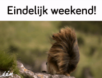 GIF by vrt