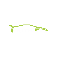 duthiveiculos duthiveiculos Sticker