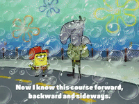 season 4 krusty towers GIF by SpongeBob SquarePants