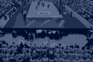 Team Volleyball GIF by SSCPalmbergSchwerin