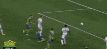 save andre blake GIF by Philadelphia Union