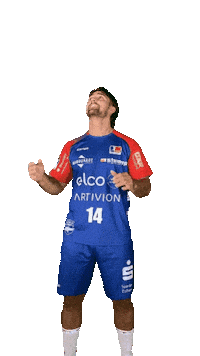Max Santos Handball Sticker by HBW